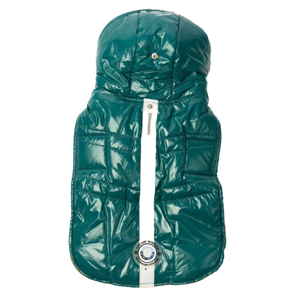 Small Dog winter jacket with hood